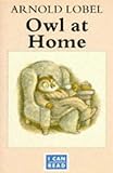 Owl at home