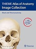 Thieme Atlas of Anatomy Image Collection