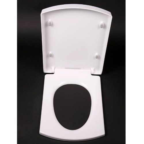 ANHPI Toilettensitz Aus Holz Mit Soft-Close – Leise, Stabil & Einfach Montiert Für Fast Alle WC-Modelle