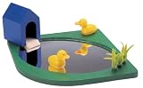 Duck Pond & Duck House