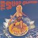 SURF PANIC’95