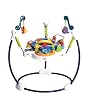 Fisher-Price Ocean Wonders Jumperoo