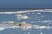 Wallmonkeys Peel and Stick Wall Decals - Salt in the Dead Sea, Israel - Removable Graphic