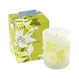 Thymes Wild Ginger Poured Candle