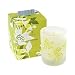 Thymes Wild Ginger Poured Candle