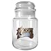 Philadelphia 76ers NBA 31oz Glass Candy Jar - Primary Logo