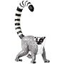 Safari: Lemur