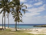 Anakena Beach, Easter Island (Rapa Nui), Chile, South America Photographic Poster Print by Michael Snell, 24x18