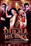DULHA MIL GAYA