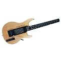 Yamaha EZ-EG Tutorial Electric Guitar