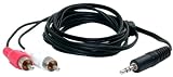 StarTech.com 6 ft. PC to Stereo Component Cable 3.5mm Male to 2x RCA Male