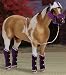 Breyer Shipping Set - Purple and White