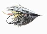 White Winged Ackroyd - 18