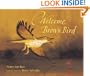 Welcome, Brown Bird