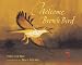 thrush26 - Welcome Brown Bird