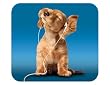 HandStands iPod Dog Deluxe Mouse Mat
