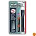 MINI MAGLITE M2A01H AA Flashlight and Holster Combo Pack, Black