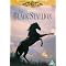 Horse Films For Horse Lovers