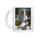 Fake shark hanging downward in Key West, Florida, United States of America, Photo Mugs