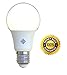 Premium LED Bulb - 7watt 4000k LED Bulb by NGP - A Universal, Recyclable and Shatterproof LED Light Bulb - Bonus E-Book on Energy Saving Tips Worth $5.99