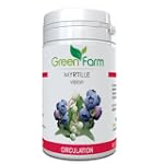 Green Farm - Circulation - Vision - M...