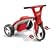 Radio Flyer 2 in 1 Trike
