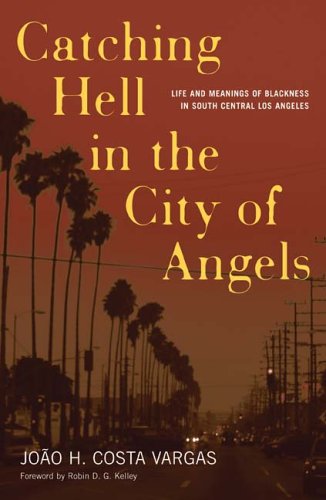 Catching Hell In The City Of Angels: Life And Meanings Of Blackness In South Central Los Angeles (Critical American Studies)