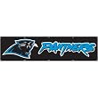 Carolina Panthers NFL Applique & Embroidered Party Banner (96"x24")