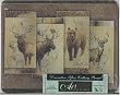 Tempered glass ~ Moose, Bear, Deer ~Large Cutting Board~ country home d&eacute;cor ~ code 028