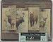 Tempered glass ~ Moose, Bear, Deer ~Large Cutting Board~ country home d�cor ~ code 028