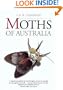 Moths of Australia