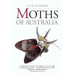 Moths of Australia