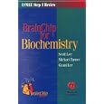 Brain Chip for Biochemistry (Brainchip) by  Scott Lee