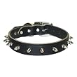 1 in. Regular Spiked Latigo Leather Dog Collar model 100LK (Black, 20 in.)