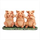 No Evil Piggies Here!