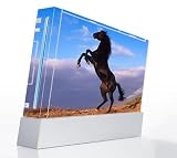 Mustang Horse Decorative Protector Skin Decal Sticker for Nintendo Wii Console