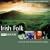 Rough Guide to Irish Folk