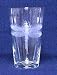 Individually Hand Etched Dragonfly Tumbler Glass 7"H Set / 4