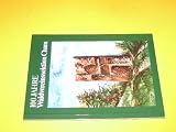 Produkt-Bild: 100 Jahre Waldvereinssektion Cham.