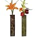Dragonfly Wall Vases- Set of 2