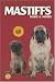 Mastiffs (KW Dog)