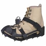 Gladiator Studded Sandal