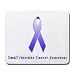Small Intestine Cancer Awareness Ribbon Mouse Pad