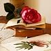 Rose Sur Livres - Art Print Poster 12 x 12