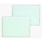 2PK PAINT EDGER PADS by Shur-Line