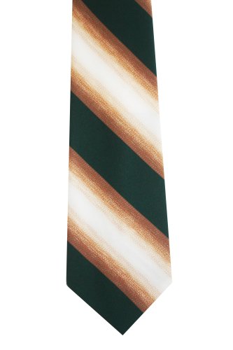 1 Men 100 % Poylester Stripe Necktie