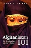 Afghanistan 101   [AFGHANISTAN 101] [Paperback]