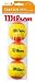 Wilson Kinder Tennisball Starter Game, orange, WRT137300