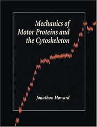 Mechanics of Motor Proteins and the Cytoskeleton