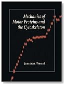 Mechanics of Motor Proteins and the Cytoskeleton